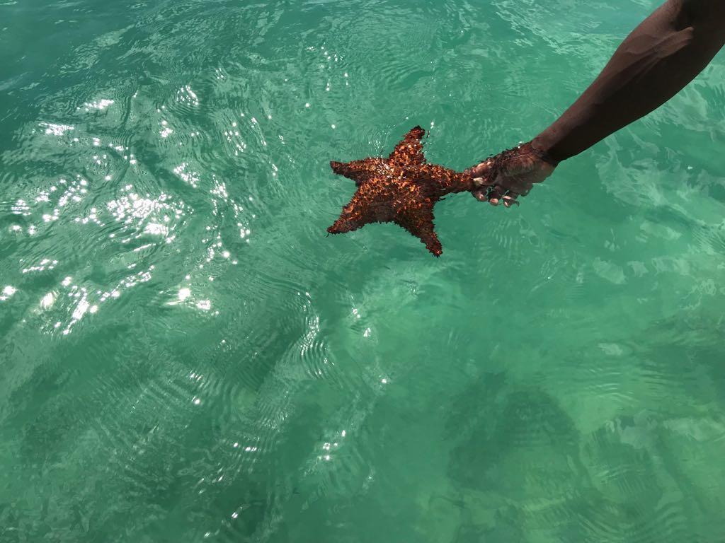 Habitacion En Sol Dominicus Solo Adultos Bayahibe Dış mekan fotoğraf